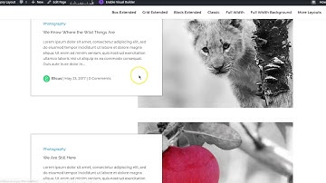 How to Implement Customized Layouts in Divi Blog Extras Plugin