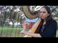 Halo by Beyonce on harp