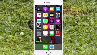 iPhone 7 : How to set Verbosity deleting text as Speak screenshot 3