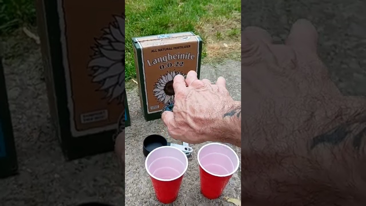 down-to-earth regimen Gromies 💯