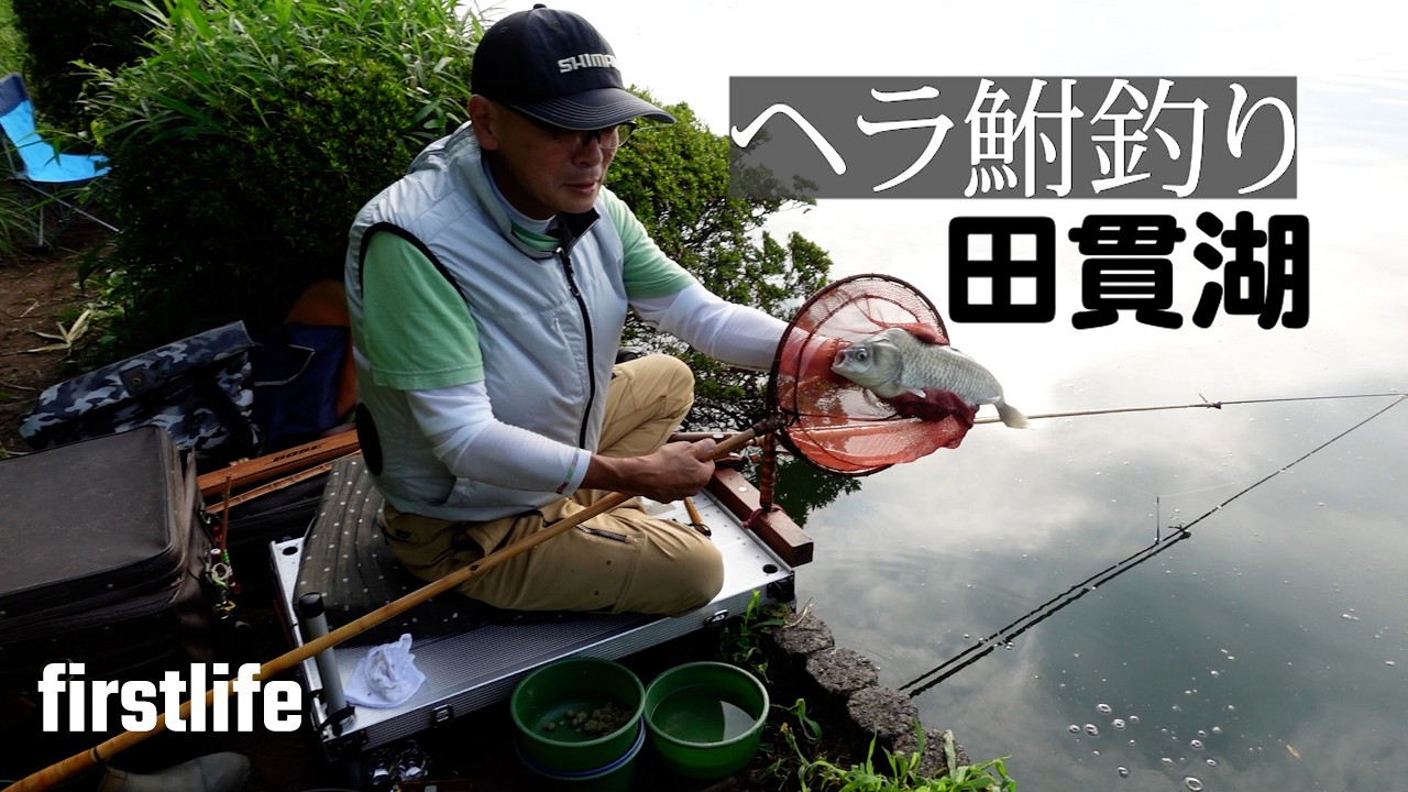 ヘラ鮒釣り～静岡県 田貫湖～