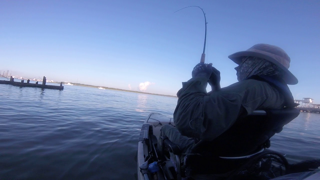 flounder-galveston-tx-ferry-landing-09-16-2018-on-hooked-up-fishing