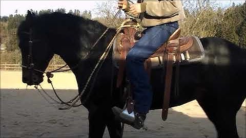Black Jack in the Two Reins