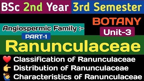BSc 2nd Year 3rd Semester Botany/Ranunculaceae Family/ Ranunculaceae/Classification of Ranunculaceae