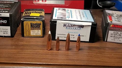 Best bullets for hunting