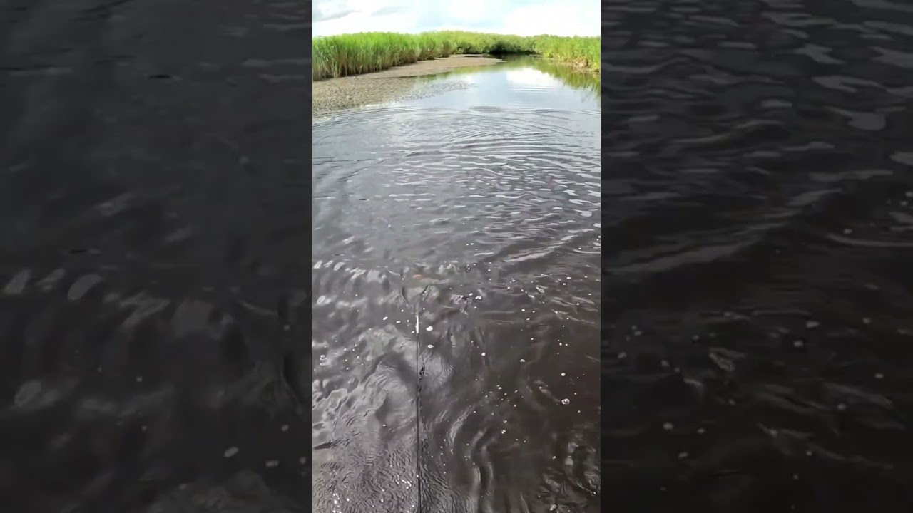 Рыбалка на кастинговую сеть