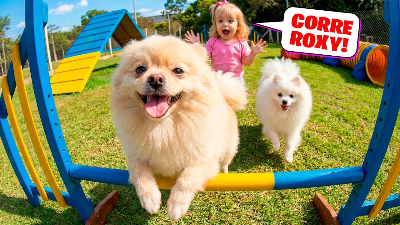 MINHA FILHA SOLTOU a NOVA CACHORRINHA ROXY no PARQUE de CACHORRO pela PRIMEIRA VEZ! Pai Também Vloga