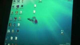 Windows 7 & Multi-Touch