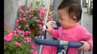 20090404兒童節去金勇蕃茄農場~好笑的場面
