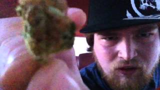Kush Clouds TV-Hotbox & Ghost Hits