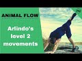 Summary of all level 2 Animal Flow movements