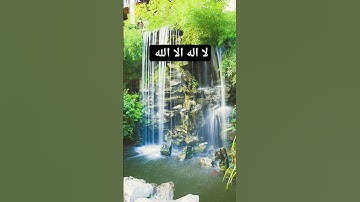 يعلمون ظاهراً من الحياة الدنيا #quran #تلاوات #قرآن #ياسر_الدوسري #اكسبلور #اليمن #السعودية #فلسطين#