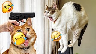 Try Not To LaughFunniest Cats and Dogs 2024