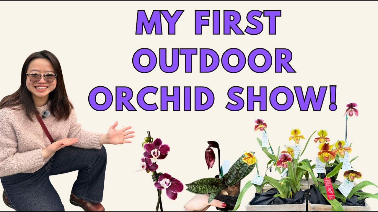 Plantoohlala Goes Wild 🌿 Orchid Show + HAUL!