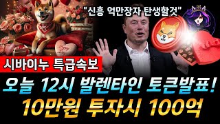 [ 시바이누 코인 ] 시바이누의 여자친구 &quot;이 코인&quot; 제발 만원이라도 사두세요!! #비트코…