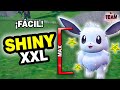  cmo forzar un eevee shiny xxl en pokmon escarlata y prpura mtodo exclusivo