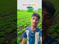#shorts #viral #funny