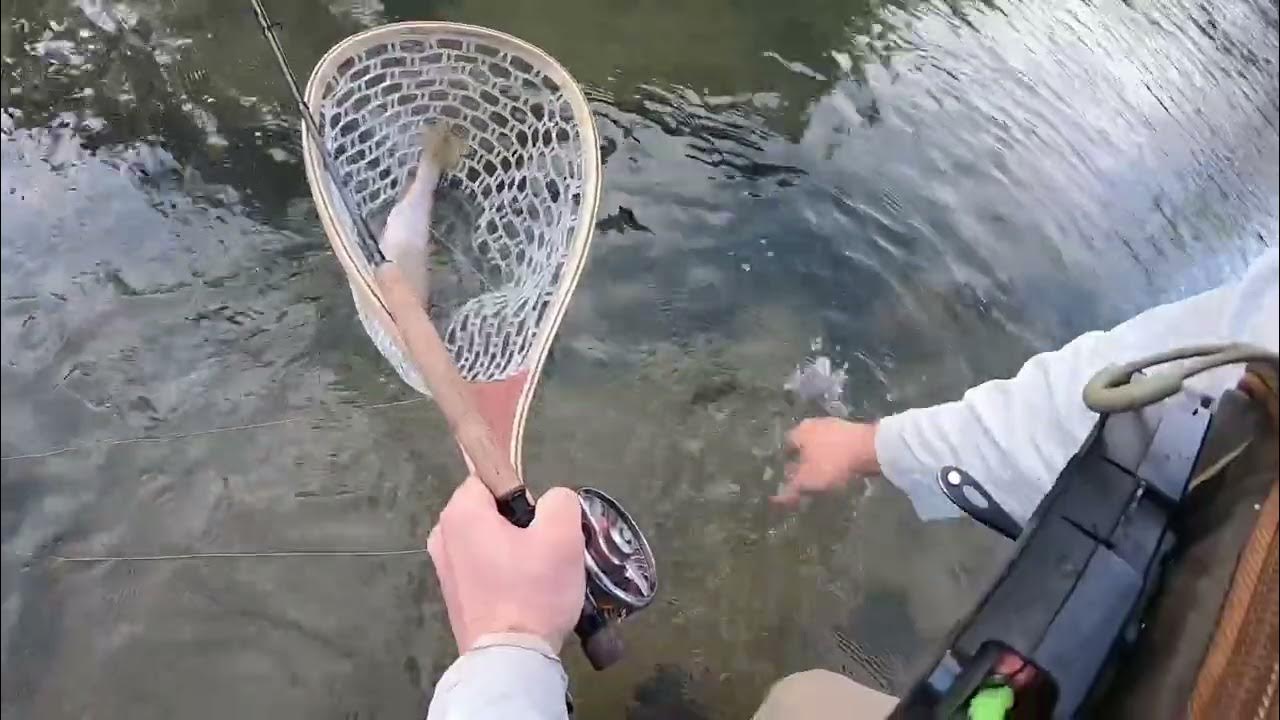 Niangua River Float Day 2 YouTube