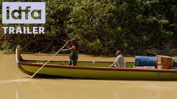 IDFA 2025 | Trailer | Monikondee