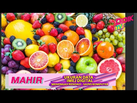 Video: Di manakah dalam jadual data Unit ukuran perlu ditunjukkan?