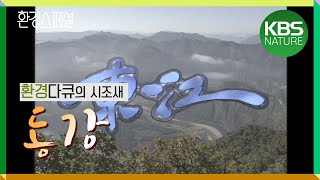 [시청자요청] 환경다큐의 시조새 - 환경스페셜 이렇게 시작됐다! | 자연다큐멘터리 