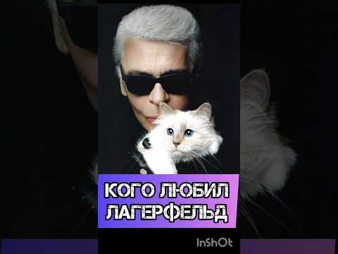 Кого всю жизнь любил Карл Лагерфельд?.. #карллагерфельд #лагерфельд #жакдебашер #мода #историилюбви