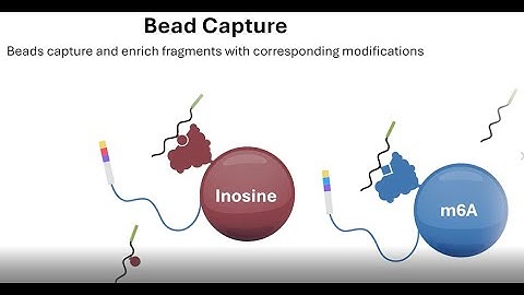 The EpiPlex assay from AlidaBio