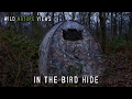 In the Bird Hide