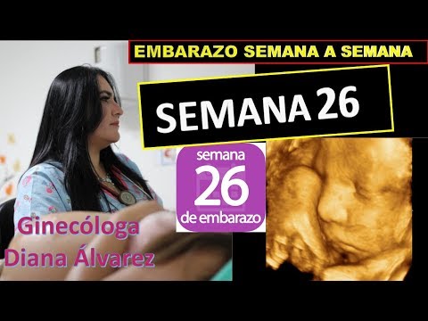 Video: ¿Son las 26 semanas su tercer trimestre?