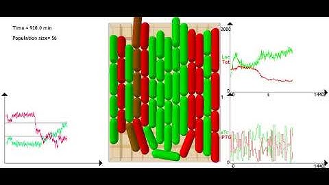 Ratiometric Control problem solved using an MPC algorithm