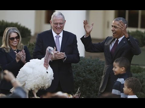 Obama cracks dad jokes at his final Thanksgiving turkey pardon