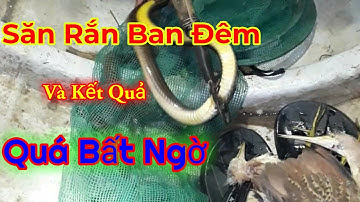 Săn Bắt Mùa Nước Nổi[Rắn Cò] Cuộc Sống Miền Tây NTV #sanbat#muanuocnoi#cuocsongmientay