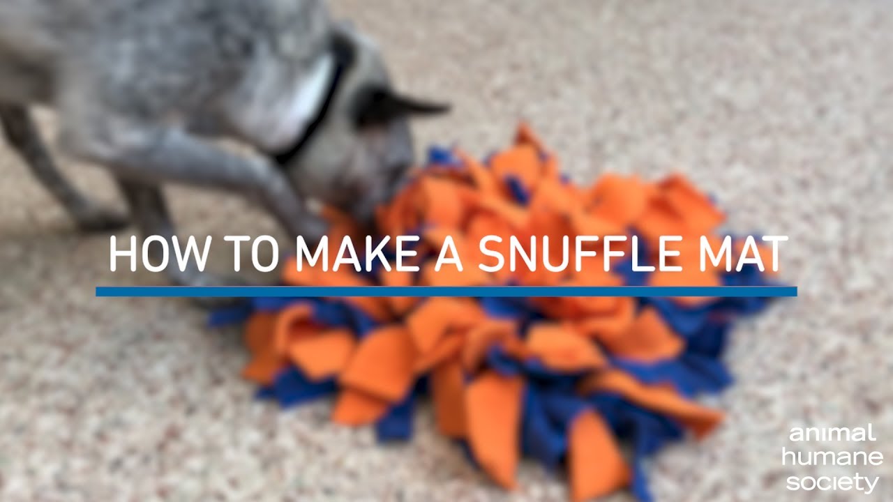 How to Make a DIY Snuffle Mat