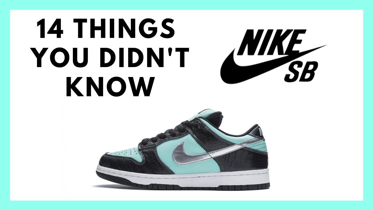 meaning of nike sb