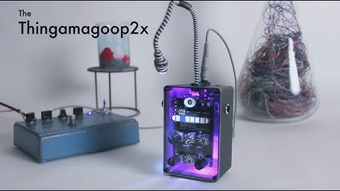 The Thingamagoop 2x - Final Run