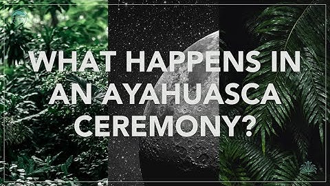 What Happens in an Ayahuasca Ceremony?