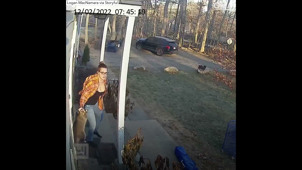 Connecticut Mom Rescues 5 Year Old Daughter From Raccoon Attack