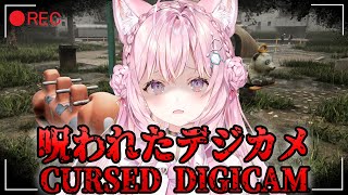 博衣こよりの配信のサムネイル画像