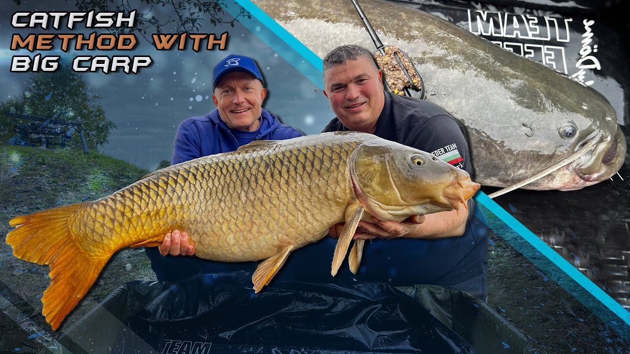 Рыбалка с фидером на карпа в холодных водах 28. серия – Метгод на сома с большыми карпами
