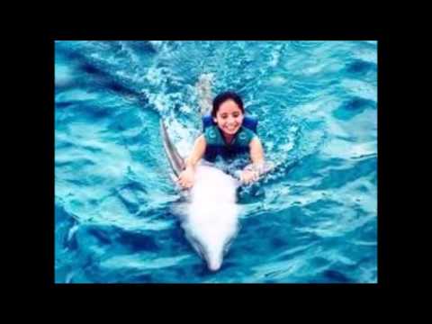 დელფინი