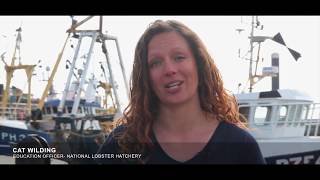 FILM 1 Our Seas Fishing methods and their impacts