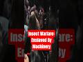 Insect Warfare - Enslaved By Machinery (Live) | Pure Grindcore Intensity & Relentless Speed