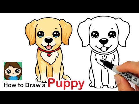 How to Draw a Labrador | Golden Retriever Puppy Easy