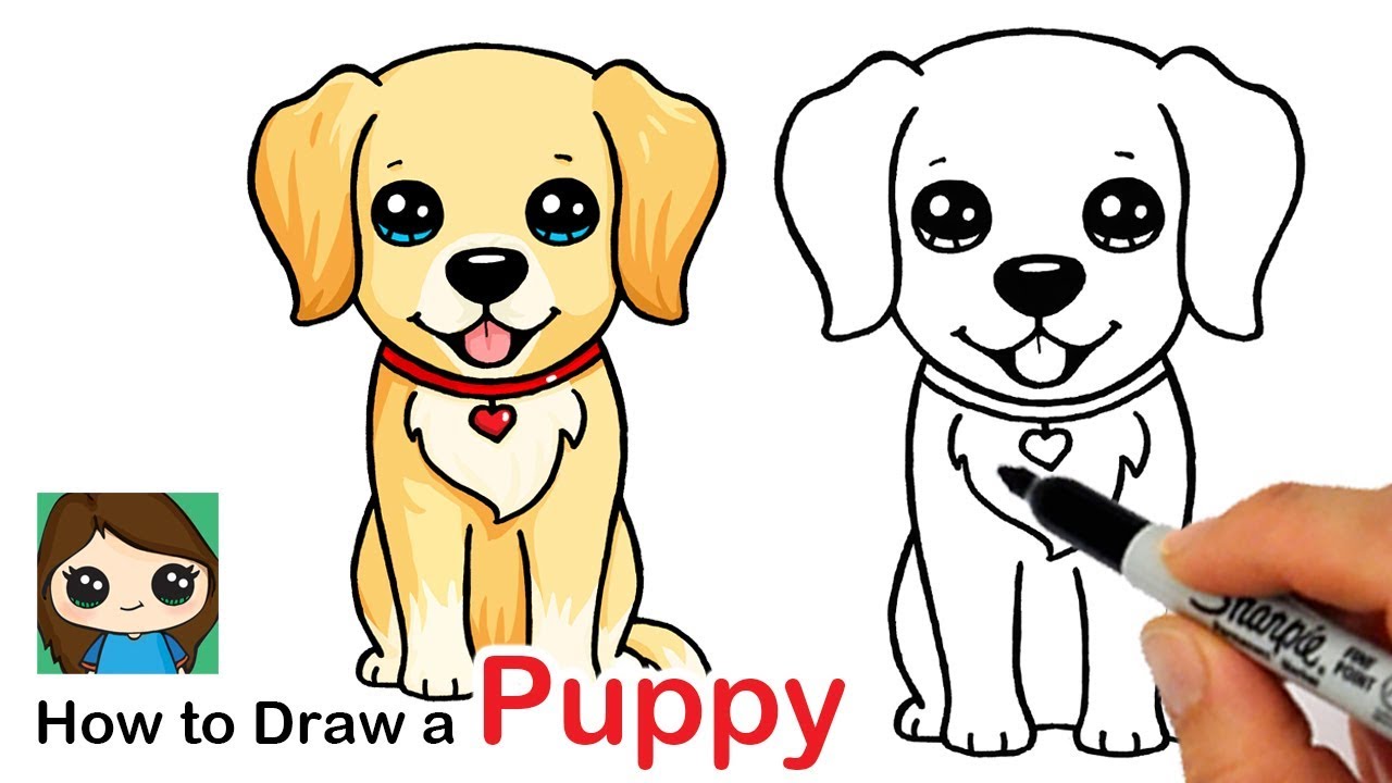 How to Draw a Labrador | Golden Retriever Puppy Easy - YouTube