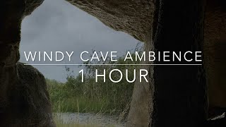 Take Refuge from the Heavy Rain in a Cave  1 hour Windy Cave Ambience  Howling Wind, Cave Rain