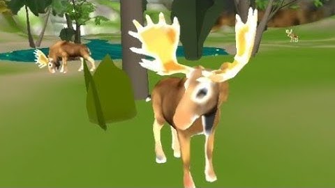 Wild Dino Hunting Gun Games 3d - Android HD Gameplay #Part 22