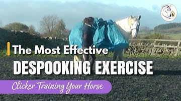 The MOST Effective Despooking Exercise: Clicker Training Your Horse