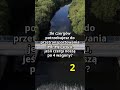 Ile czergów potrzebujesz do przetransportowania jednego wozu #quiz #życie #logika
