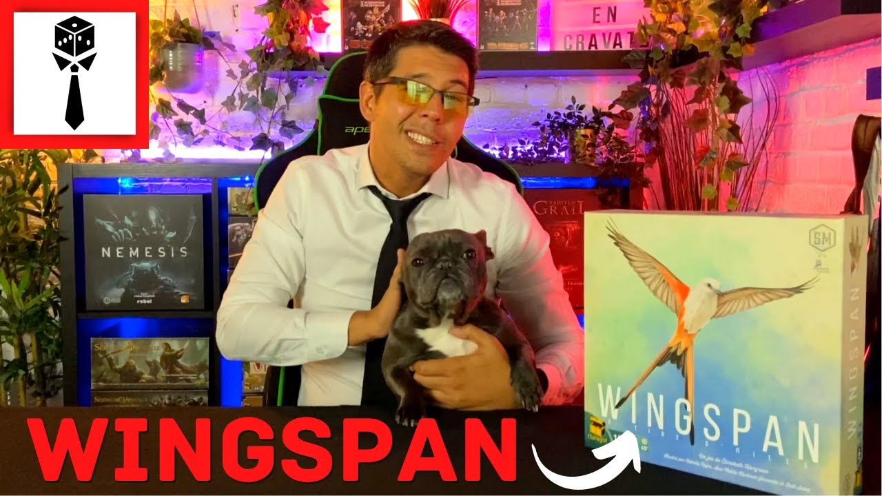 🔥 WINGSPAN 🔥 La Mise En Cravate Avec Lily (présentation, partie ...