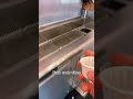 Free Soda Vibes Tiktok Yinyan236 